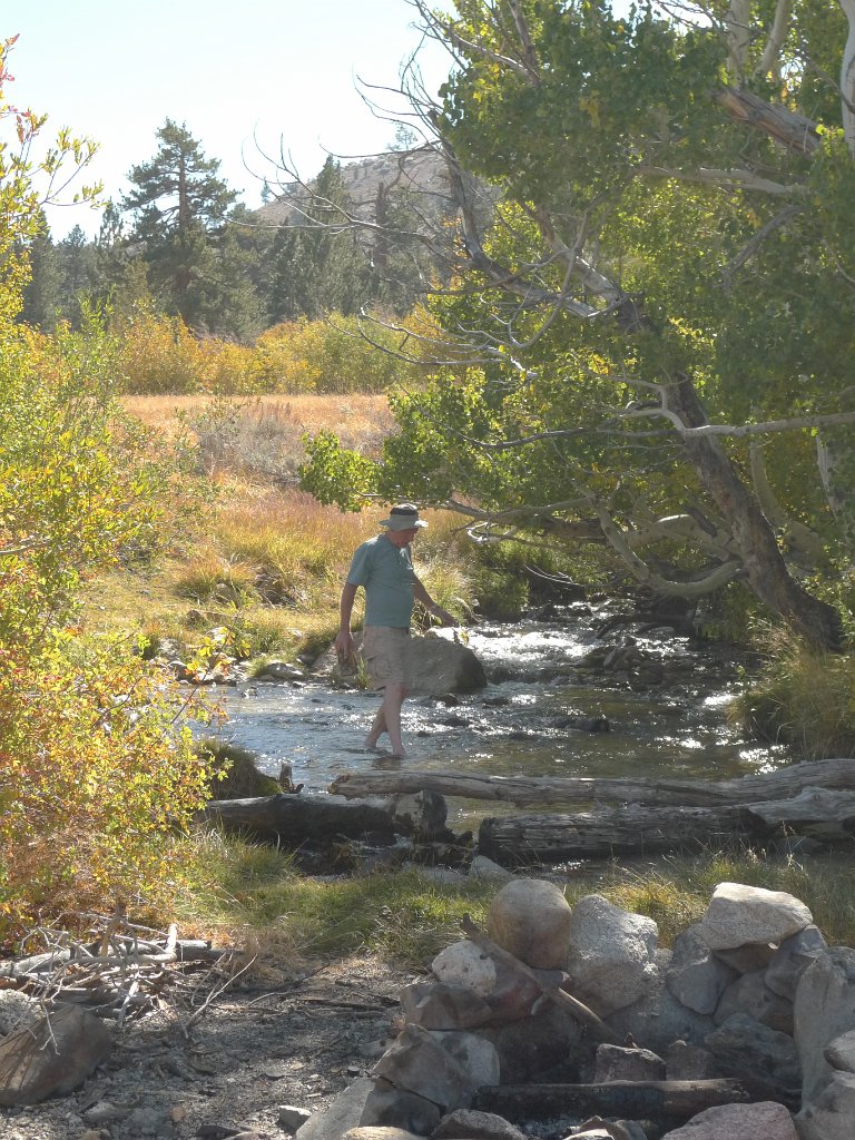 California-Fall2010 605.JPG